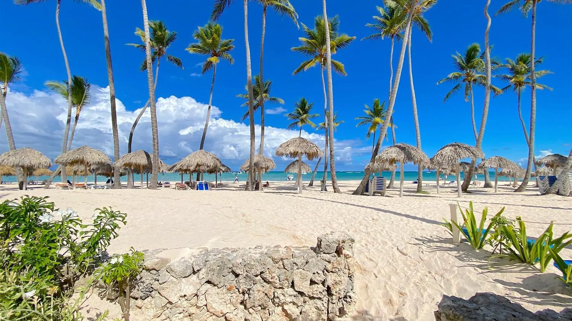 Los Corales Villas And Suites - Beach Club, Spa, Restaurants Punta Cana